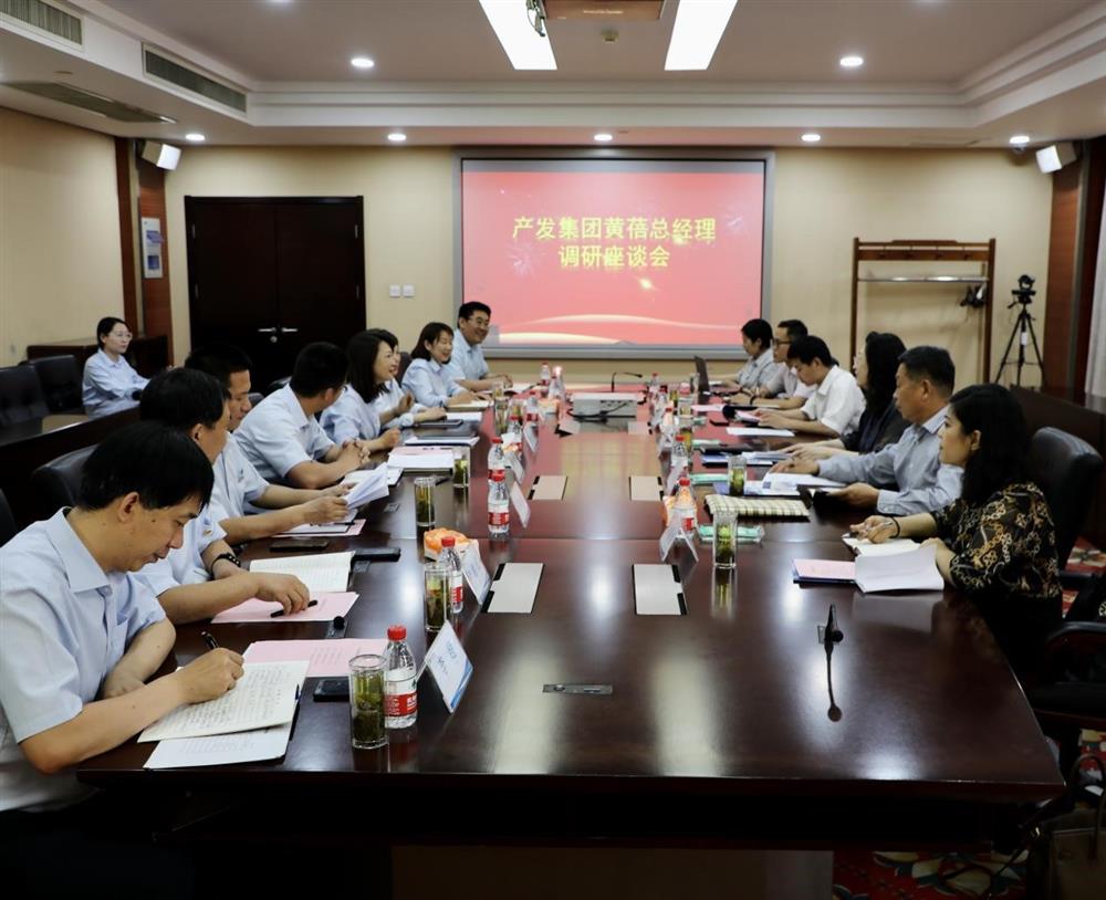 集團(tuán)黨委副書記、總經(jīng)理黃蓓帶隊調(diào)研濟(jì)南市工程咨詢院