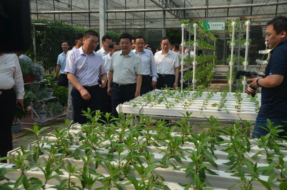 科技助農(nóng)，播撒光的種子  精準(zhǔn)扶貧，助力鄉(xiāng)村振興